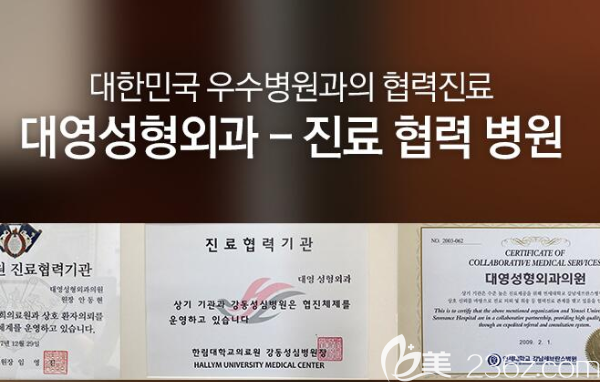 安棟顯院長獲得部分榮譽