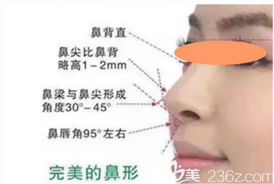 漂亮鼻型標(biāo)準(zhǔn)介紹
