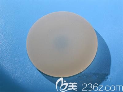 295cc的麥格假體