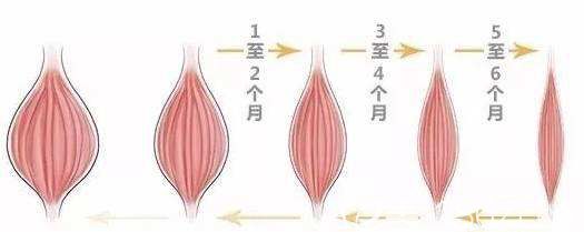 瘦臉注射一次維持的時間