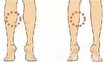 大象腿如何變瘦