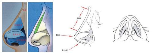硅膠假體隆鼻手術(shù)不會影響到嗅覺