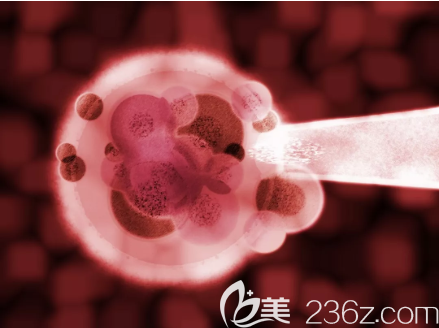 防止出現(xiàn)粉刺 防止出現(xiàn)粉刺