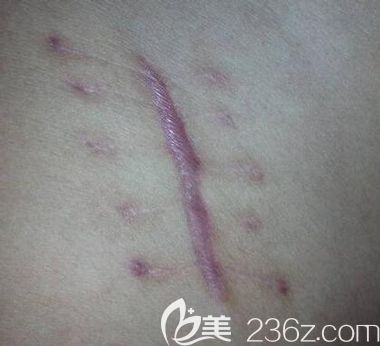 20190911_1568188866686937.jpg QQ截圖20190911160033.jpg