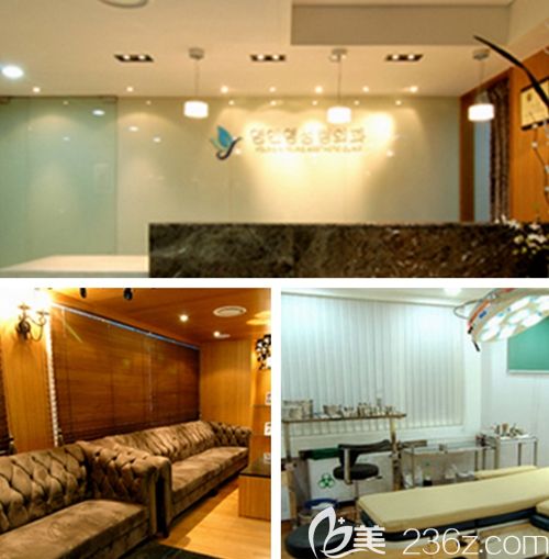 韓國Young&Young整形外科