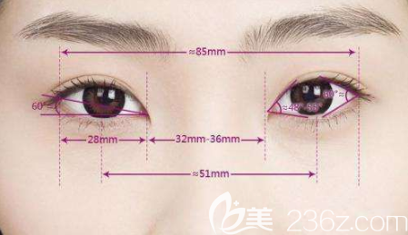 適合的兩眼間距