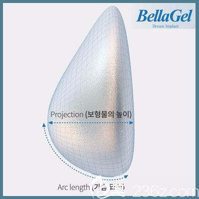 蓓菈假體好不好