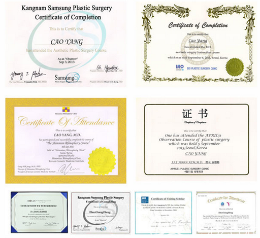 曹陽院長所獲部分榮譽證明