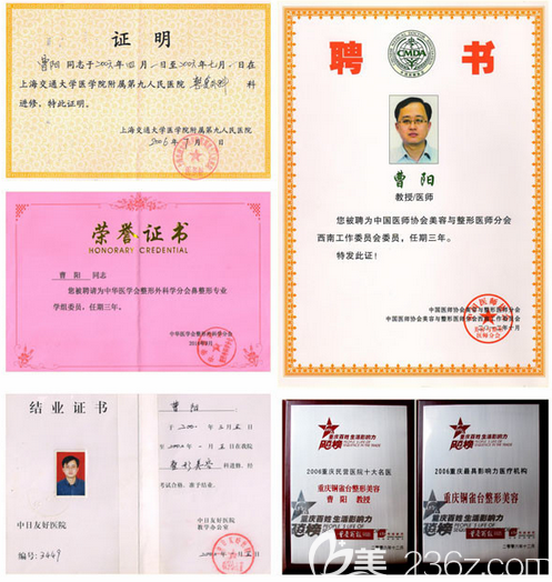 曹陽院長部分榮譽證書