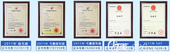 碧蓮盛特有技術(shù)、器械證明