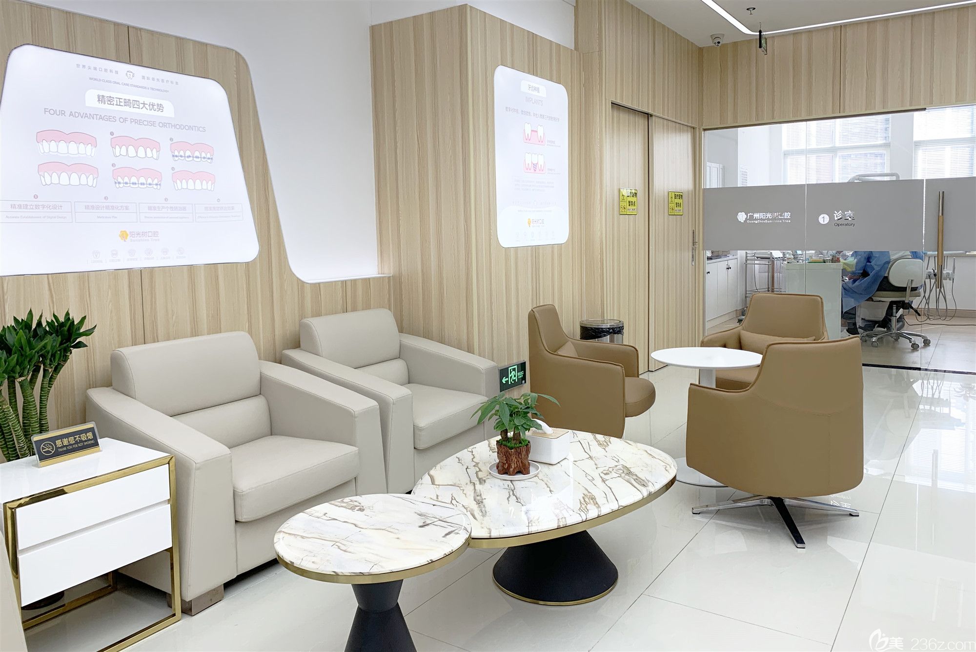 陽(yáng)光樹(shù)口腔內(nèi)部環(huán)境圖