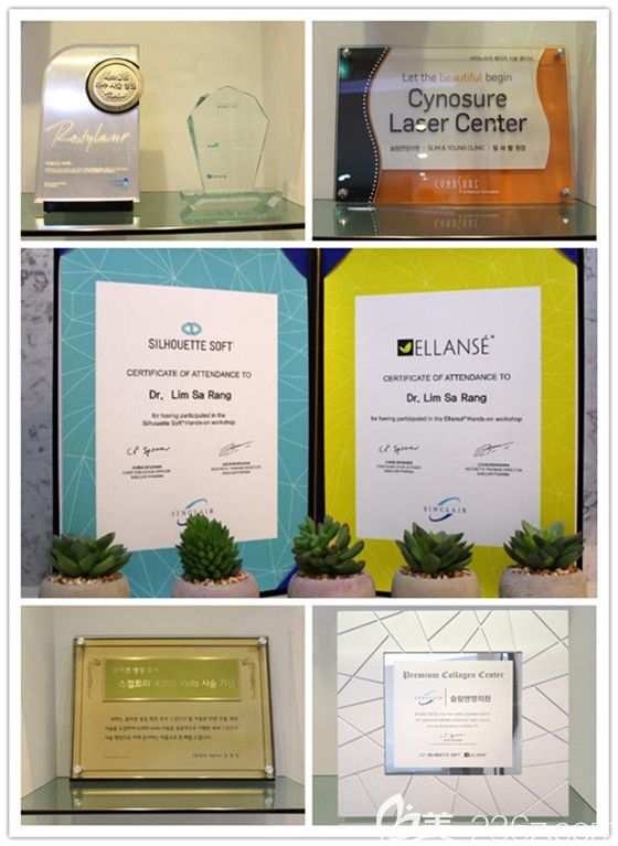 韓國明洞施麗美羕整容醫(yī)院