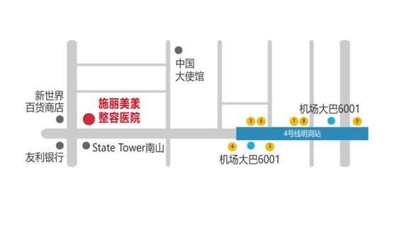 韓國明洞施麗美羕整容醫(yī)院
