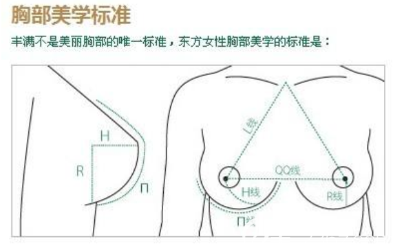 胸部美學(xué)標(biāo)準(zhǔn)示意圖
