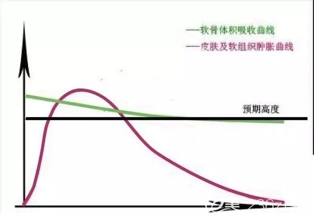 自體真皮的吸收曲線圖 自體真皮的吸收曲線圖