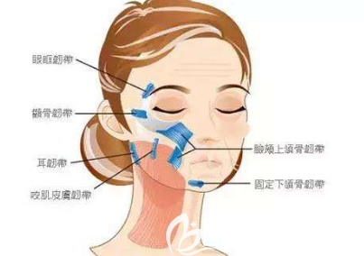 做完埋線提升后線會(huì)斷的原因可能是咀嚼太硬的食物或者做夸張的表情了