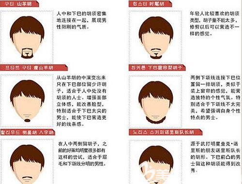 胡須種植的各個(gè)類型