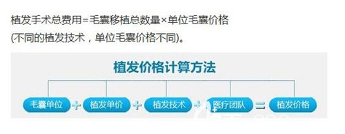 胡須種植費(fèi)用計(jì)算方法 胡須種植費(fèi)用計(jì)算方法