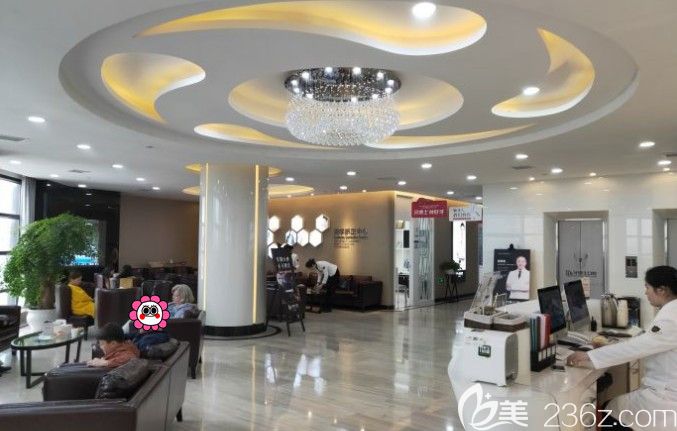 牙博士的大廳環(huán)境