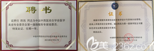 陳凱醫(yī)生獲得的證書