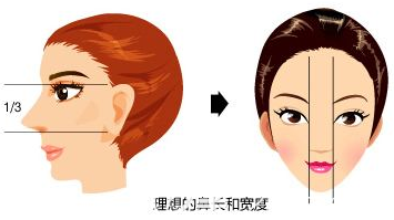 隆鼻標(biāo)準(zhǔn)