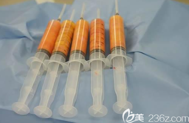 高質(zhì)量的脂肪細(xì)胞