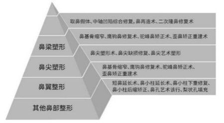 晏傳濤隆鼻技術(shù)特色 晏傳濤隆鼻技術(shù)特色