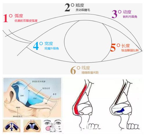 閆祥醫(yī)生做眼鼻整形術前設計 閆祥醫(yī)生做眼鼻整形術前設計