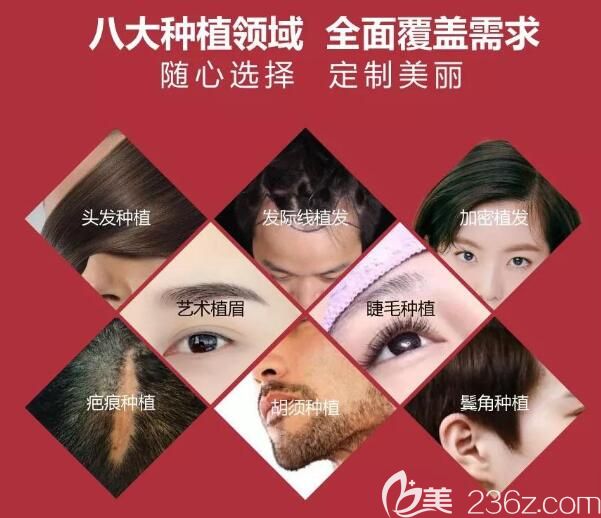 <!--<i data=20240703-sp></i>-->為您提供8項(xiàng)毛發(fā)移植服務(wù)