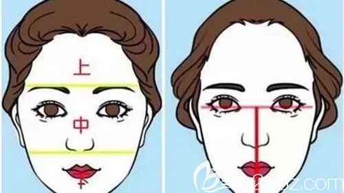 發(fā)際線種植的手術(shù)原理 發(fā)際線種植的手術(shù)原理