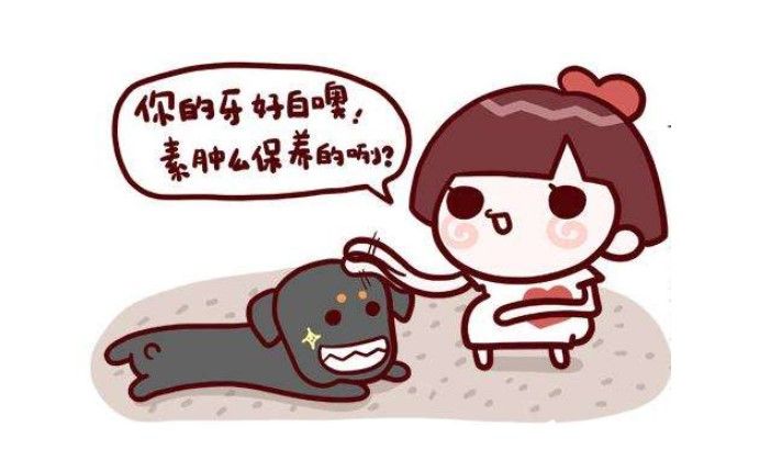 牙齒貼面和烤瓷牙的使用壽命