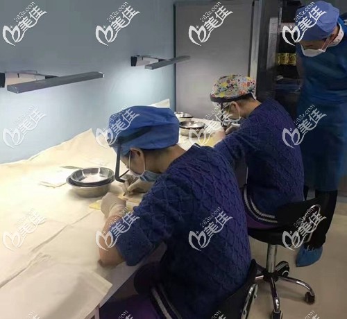 醫(yī)生手工分離毛囊