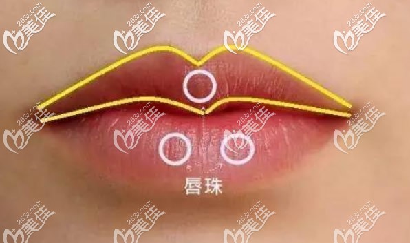 m唇特征 m唇特征