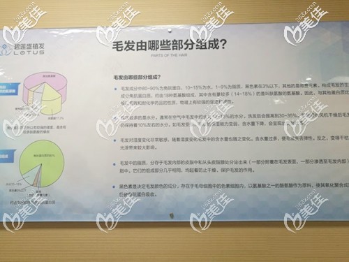 為發(fā)友提供多種生發(fā)養(yǎng)發(fā)知識