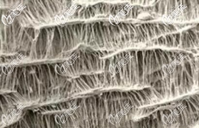 膨體材料的內(nèi)部組織結(jié)構(gòu)圖 膨體材料的內(nèi)部組織結(jié)構(gòu)圖