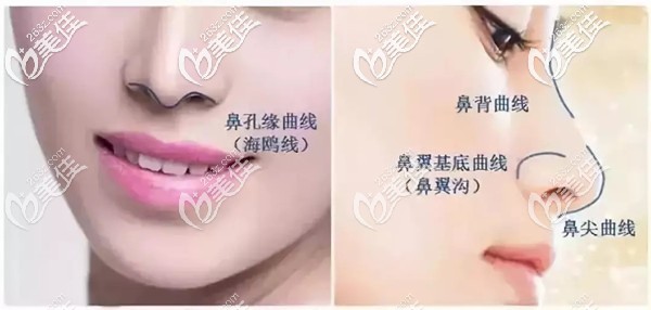 什么是海鷗線 什么是海鷗線