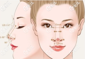 泰國(guó)隆鼻哪家好