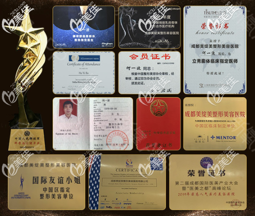 何院長個人榮譽(yù)