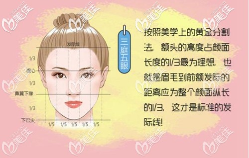 擅長發(fā)際線種植手術