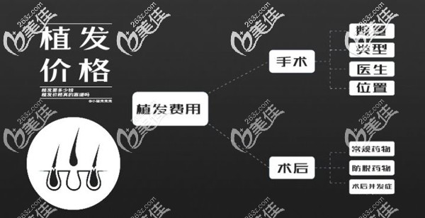 植發(fā)費(fèi)用應(yīng)該計(jì)算手術(shù)費(fèi)用和術(shù)后護(hù)理費(fèi)用 植發(fā)費(fèi)用應(yīng)該計(jì)算手術(shù)費(fèi)用和術(shù)后護(hù)理費(fèi)用