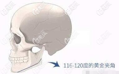 下頜角120度的黃金夾角 下頜角120度的黃金夾角