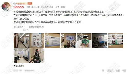 石家莊碧蓮盛收獲了諸多好評(píng)