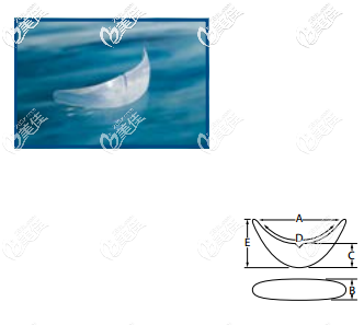 菲思挺硅膠下巴假體Anatomical Chin系列的所有型號(hào)的圖片