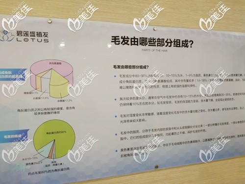 蘇州碧蓮盛植發(fā)知識墻