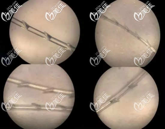 意大利悅升線圖示