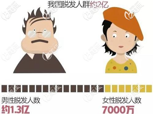 國(guó)內(nèi)男女士脫發(fā)比例
