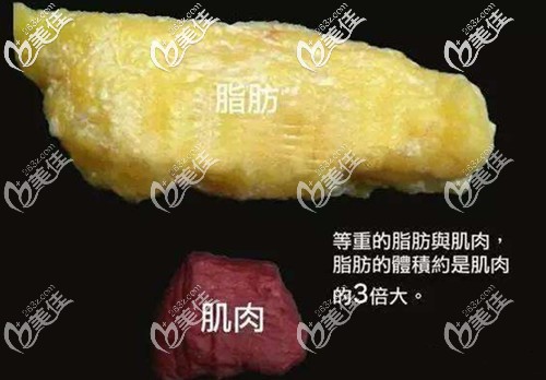 五千克脂肪和五千克肌肉的對(duì)比 五千克脂肪和五千克肌肉的對(duì)比