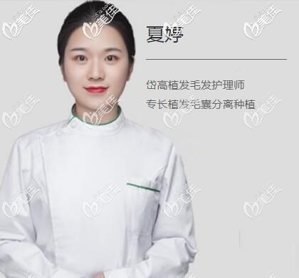 專業(yè)的毛囊分離師夏婷 專業(yè)的毛囊分離師夏婷