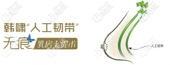 人工韌帶提胸術(shù)價(jià)格揭秘