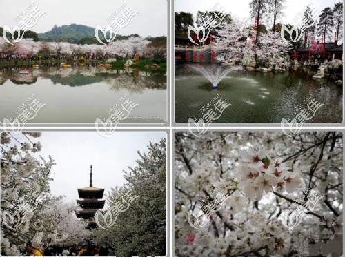 生活外的雷云飛院長 生活外的雷云飛院長